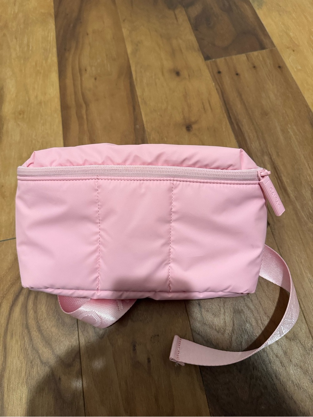 Calpak Crossbody Bag - Lightweight Everyday Pouch